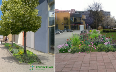 Zelený plán, o. z., Galanta získal financie na projekt Rozkvitajúca Galanta. V meste tak pribudne viac zelene