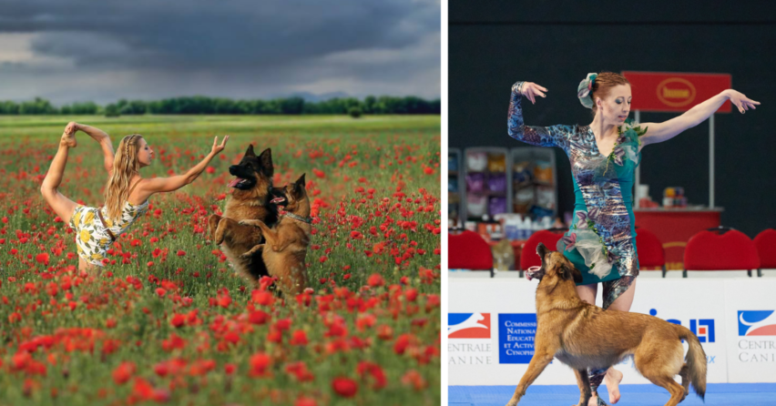 Galanťanka Alexandra Vavrová a jej psi dosahujú medzinárodné úspechy. Jej vlčiak Robin dokonca účinkuje aj v seriáli RTVS