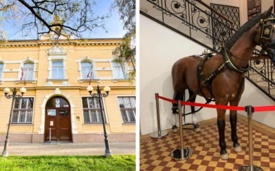 Vlastivedné múzeum v Galante srdečne pozýva na novú výstavu venovanú koňom