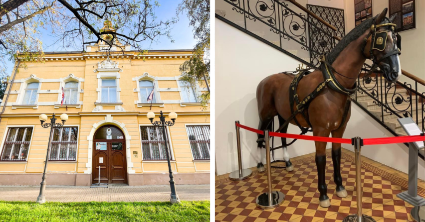 Vlastivedné múzeum v Galante srdečne pozýva na novú výstavu venovanú koňom