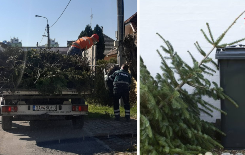 Mestský úrad a Technické služby mesta Galanta oznámili, že zber živých vianočných stromčekov začína od 9. januára 2023