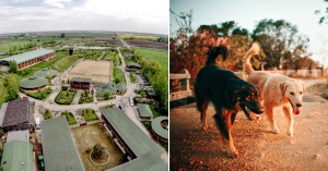 Zdroje: rancgalanta.sk/canva.com