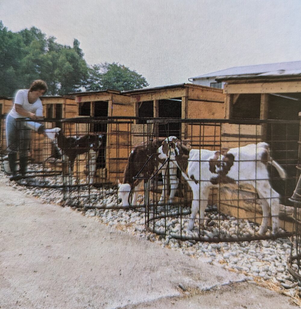 Zdroj: Galanta, Mestský národný výbor v Galante, 1987, Preklad: PhDr. Juraj Koday, 1987